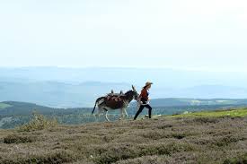 Le massif des cévennes et son parc national dans les montagnes du sud de la france entre auvergne et languedoc sur les départements de la lozère, de. Mein Liebhaber Der Esel Ich Komodie Uber Eine Wanderung