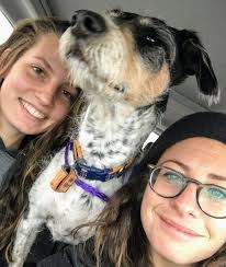 Harry Brittingham's Instagram, Twitter & Facebook