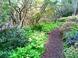Branklyn Garden Perth Scotland Perth Perth Scotland Garden Trees