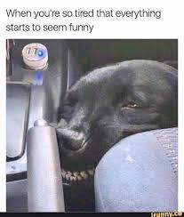 Dopl3r Com Memes When Youre So Tired That Everything Starts To Seem Funny Ifynny Co