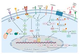 Most recently, actor ed lauter died at the age of 74, as a result of mesothelioma. Ijms Free Full Text Genomics And Functional Genomics Of Malignant Pleural Mesothelioma Html