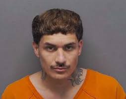 Man charged in fatal shooting of uncle 1 hour before Las Palapas founder  allegedly stabbed by nephew