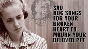 Maybe you would like to learn more about one of these? Sad Dog Songs With Lyrics That Ll Make You Cry And Mourn Your Beloved Pet Petmoo