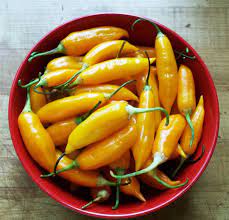 Como Plantar Armazenar E Onde Encontrar Aji Amarillo Armazem Das Especiarias Blogs Boas Praticas Como Eu Armazeno Como Eu Planto Como Eu Uso Culinaria Destaques Especiaria Especiarias Receita Receitas