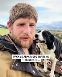Pack vs Alpha Dog Training Thoughts 💭🐶