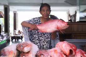 Kebanyakan masyarakat lebih memilih ikan kakap merah karena dagingnya yang lebih tebal daripada ikan kakap putih. Hari Laut Sedunia Belajar Jenis Ikan Laut Dan Memasak Dari Vlog Susi Pudjiastuti Halaman All Kompas Com