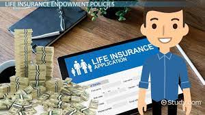 Life Insurance Endowment Policies | Overview, Types & Benefits - Video &  Lesson Transcript | Study.com