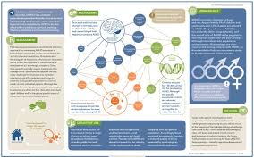Fda approves adhd drug for maintenance treatment in kids. Adhd Nature Reviews Disease Primers