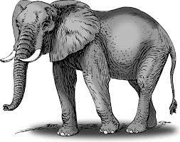 Large Size Colored Elephant Clipart Vector Elephant Clip Art Elephant African Bush Elephant