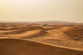 Resultado de imagen para jesús en el desierto