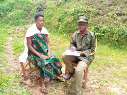 Image result for Sericostachys