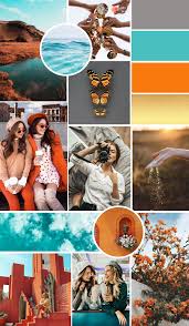 Orange And Teal Mood Board In 2020 Teal Mood Board Mood Board Teal