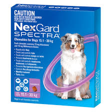 That leaves you with more energy to spend having fun with your why are pet meds so expensive at the vet? What Is The Best Heartworm Treatment Pet Circle