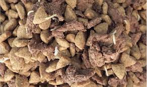 When the dog food is finished, better clean the place up immediately especially all the leftovers. Common Bugs In Dog Food What To Do Kohepets Blog
