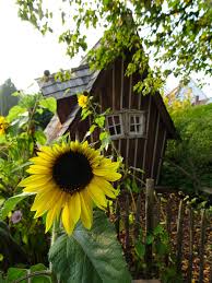 „wer einen garten hat, lebt schon im paradies schreibt die essayistin aba assa und trifft es damit wortwörtlich auf den punkt. Zaubergarten Holzweiler Garten Und Landschaftsbau Gmbh Bielefeld In 2020 Zaubergarten Garten Landschaftsbau Garten