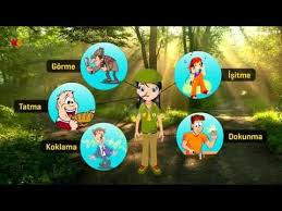 3 Sinif Fen Bilimleri Duyu Organlarimizi Taniyalim Sinif 3 Sinif Etkinlikleri Tintin