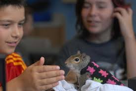 Local children have chance to see rehabilitating mammals up close