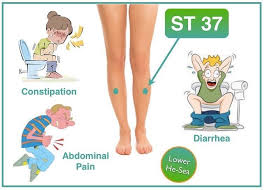Clara On Instagram St 37 Is The Lower He Sea Point Of The Large Intestine Which Makes It A Great Acupunctu Acupuncture Acupuncture Points Acupressure Points