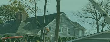 We did not find results for: Rods Tree Service Tree Service Tree Trimming Tree Pruning