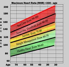 Physical Activity Physiological Changes