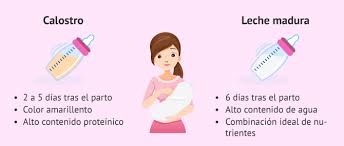 Puede durar hasta que el hijo cumpla 9 meses, tanto si la lactancia es natural como. Beneficios De La Lactancia Materna Para El Bebe Y Para La Madre