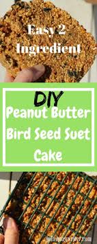 Bring to boiling over high heat, then reduce heat and simmer over low. Diy Peanut Butter Bird Seed Suet Cake A Family Lifestyle Food Blog