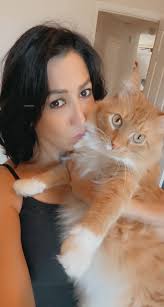 Lost dog in Clemmons area found