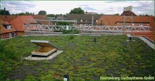 Diese Dachbegrunung Sieht Sehr Naturlich Aus Nach Ca Einem Jahr Soll Die Gesamte Flache Mit Grasern Und Krautern Uberwachsen Sein Dachbegrunung Dach Flachen