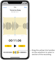 Then adjust the volume bar below. Edit Or Delete A Recording In Voice Memos On Iphone Apple Support