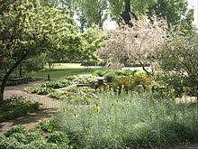 Der botanische garten düsseldorf liegt im süden von düsseldorf am himmelgeister rheinbogen. Botanischer Garten Dusseldorf Wikipedia