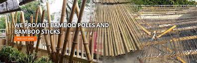 There are two basic subcategories of raw materials. Malaysia Bamboo Raw Material Supplier Malaysia Bamboo
