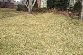 Keep on reading, because the following tips will aerating the lawn in winter boosts drainage and provides roots with some oxygen. Watering Lawns In Fall And Winter The Woodlands Water Agency