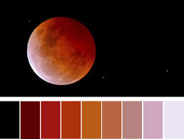 Lunar Eclipse January 2019 Change And Opportunity Astrology King Lunar Eclipse Eclipse Colour Pallete