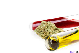 I make ramen in the microwave a lot. How Long Does Weed Stay In Your System Factdr