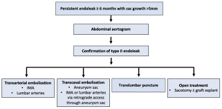 Males are more likely to. Surgical Treatment Patterns And Clinical Outcomes Of Patients Treated For Expanding Aneurysm Sacs With Type Ii Endoleaks After Endovascular Aneurysm Repair Journal Of Vascular Surgery