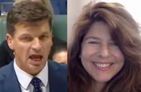 Truth and lies and Angus Taylor