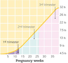 Pin On Pregnancy