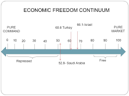 georgia performance standard and essential question ppt