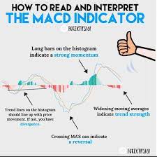 How To Read And Interpret The Macd Indicator Forex Trading Training Trend Trading Intraday Trading