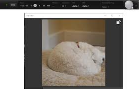 How to import photos into lightroom: What S New In Lightroom Classic 10 0 Color Grading Zoom Tools And More Laura Shoe S Lightroom Training Tutorials And Tips