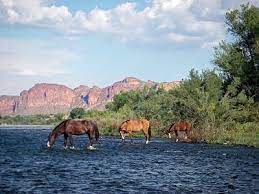 Pin On Arizona Land I Love
