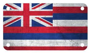 Pin On License Plate