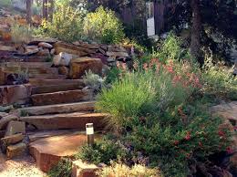 Plants native to utah are used to the local climate, so they can survive in your landscape with little help from you. Wildscape Takes Root High Country Gardens High Country Gardens Succulent Landscape Design Landscape Design