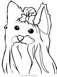 Yorkies are born black with tan points. these areas of tan are on the muzzle, on the legs, the ears, and the underside of the tail. Yorkshire Terrier Coloring Pages Coloring Home