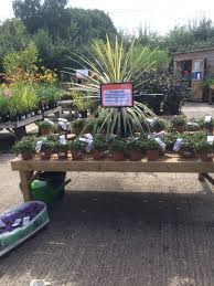 Gardeners Garden Book Garden Center Displays Garden Layout Container Gardening