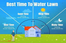 Check spelling or type a new query. Feel Free To Use My Infographic Best Time To Water Grass Lawncare