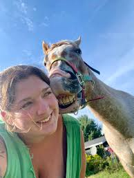 I know this is a long read, but please bear with me. Casually looking for a  babysitter type in northcentral PA to round out my herd of sweetie Appy  pasture gelding and