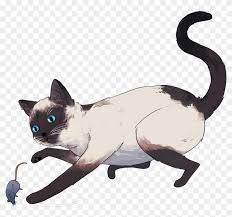 We did not find results for: With An Oral Pill With Cats Giving Revolution Each Siamese Free Transparent Png Clipart Images Download