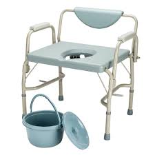 Bathroom Potty Chair