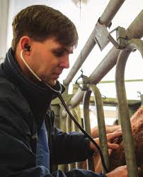 okvma.org Summer 2018